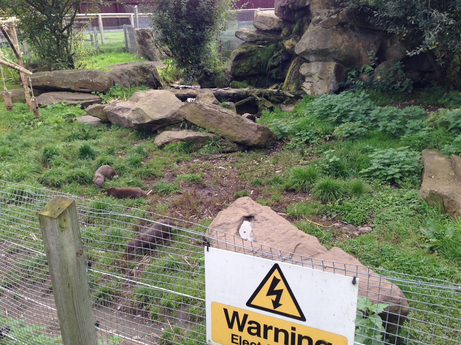 Otter Enclosure at Blue Planet Aquarium - 05/10/2013