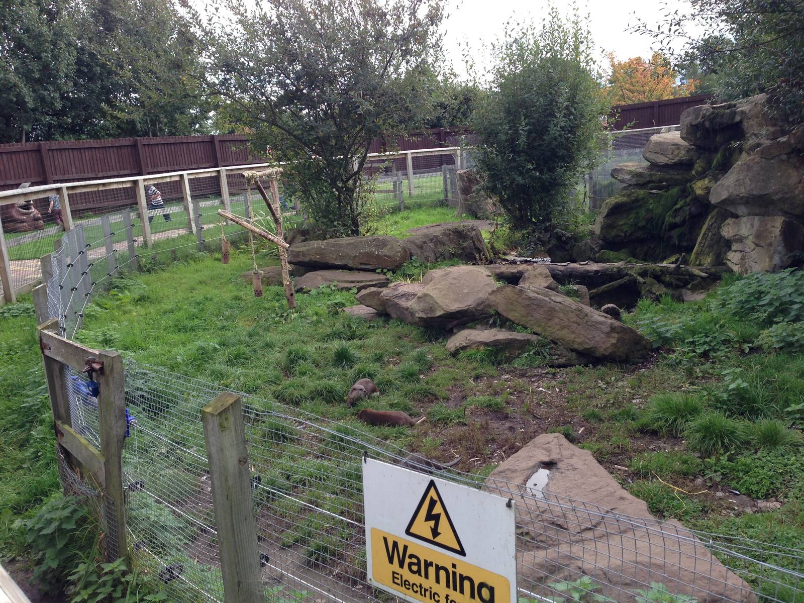 Otter Enclosure at Blue Planet Aquarium - 05/10/2013