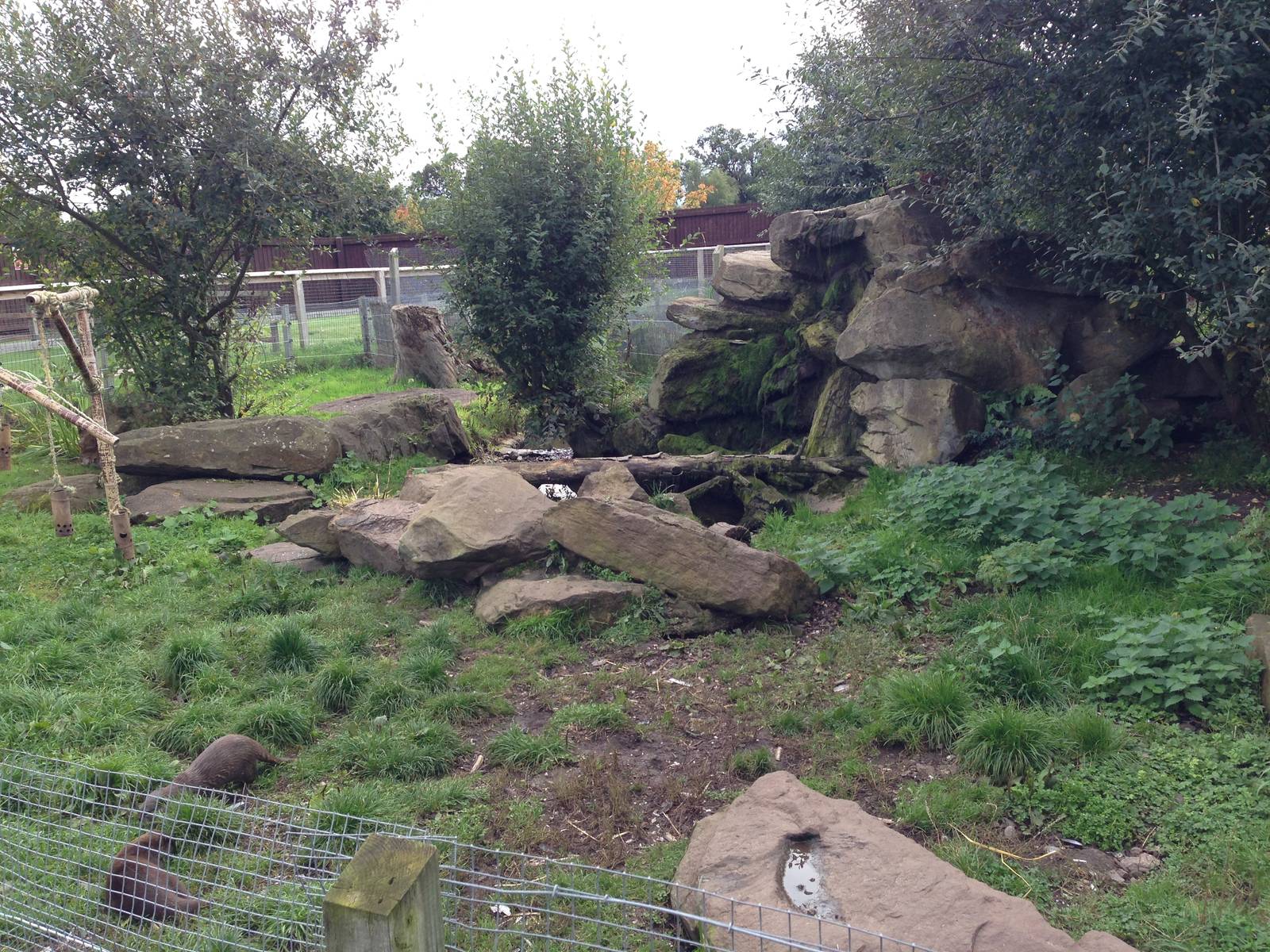 Otter Enclosure at Blue Planet Aquarium - 05/10/2013