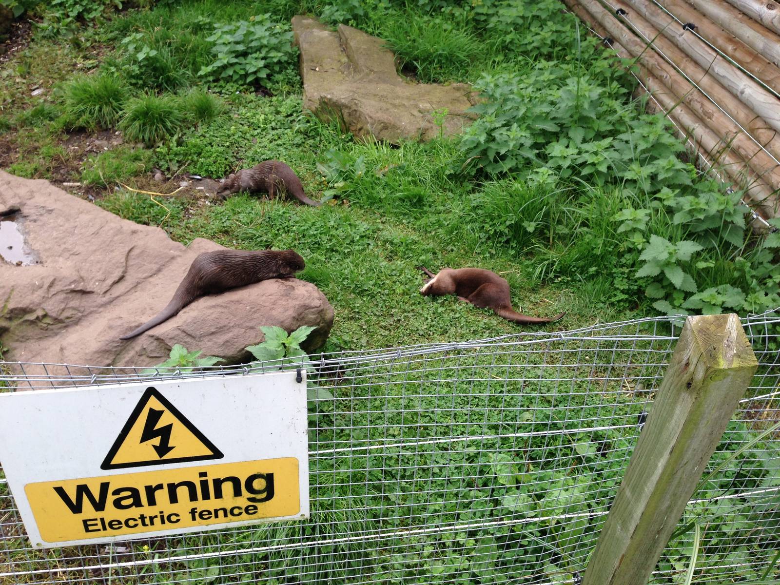 Otter Enclosure at Blue Planet Aquarium - 05/10/2013