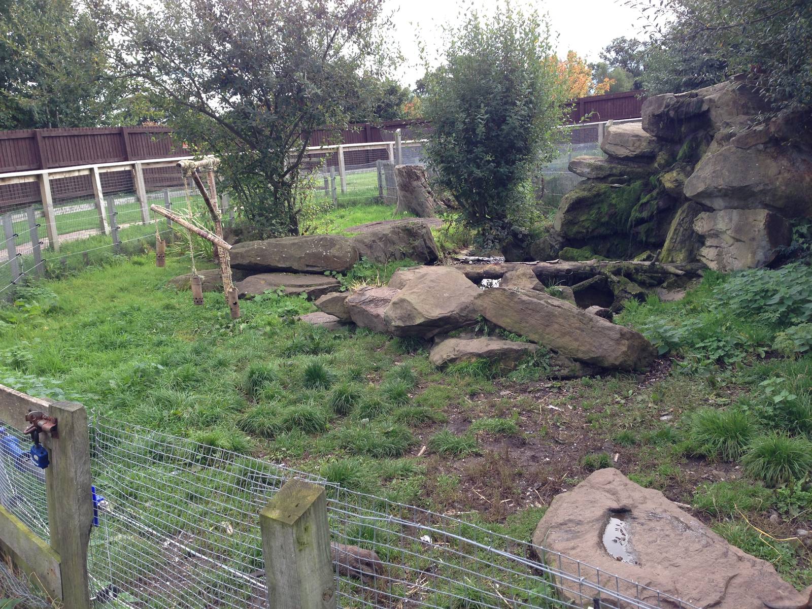 Otter Enclosure at Blue Planet Aquarium - 05/10/2013