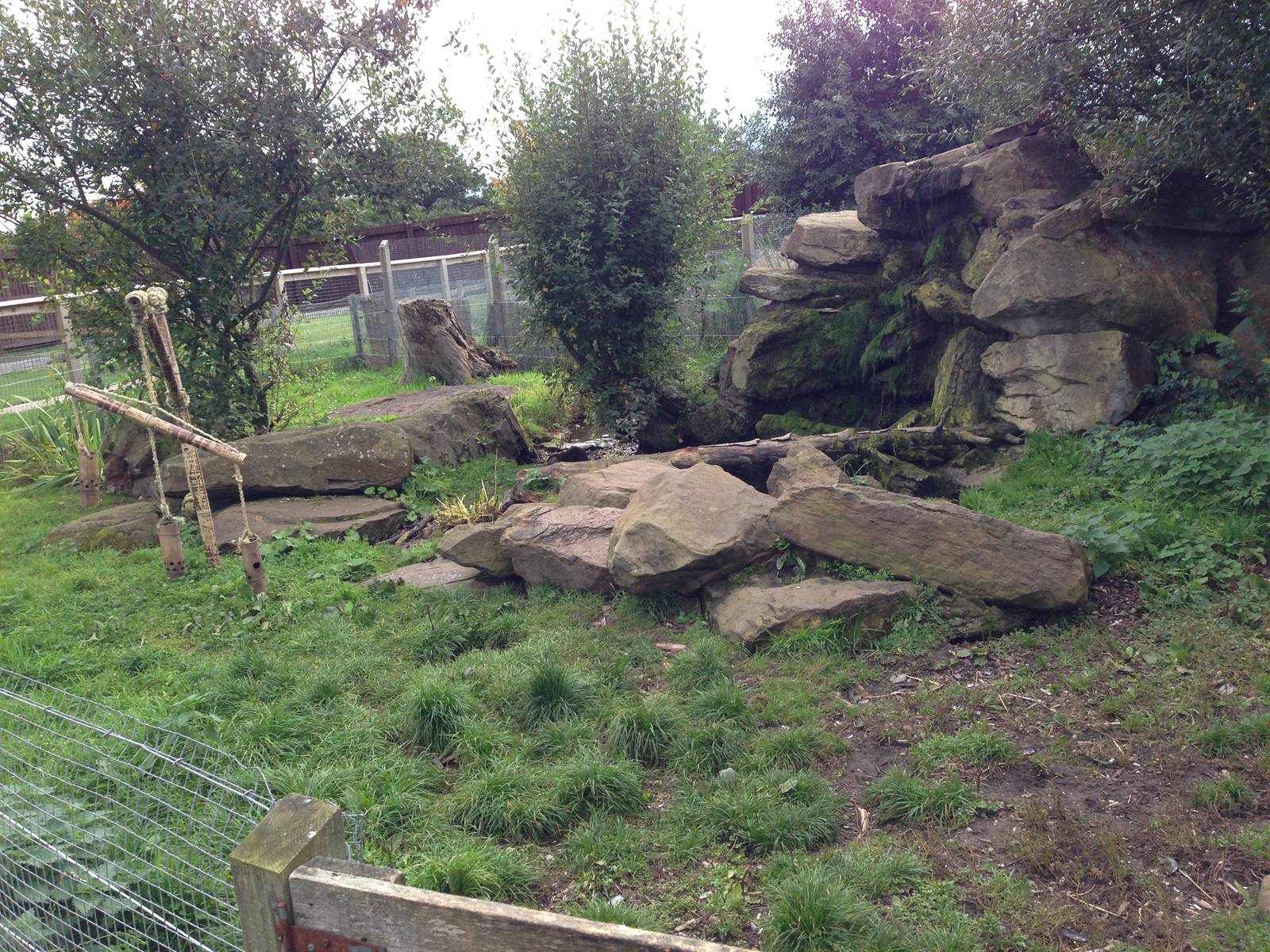 Otter Enclosure at Blue Planet Aquarium - 05/10/2013
