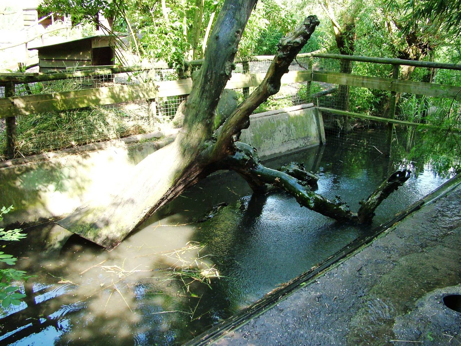 Otter Enclosure at De Paay, 02/06/12