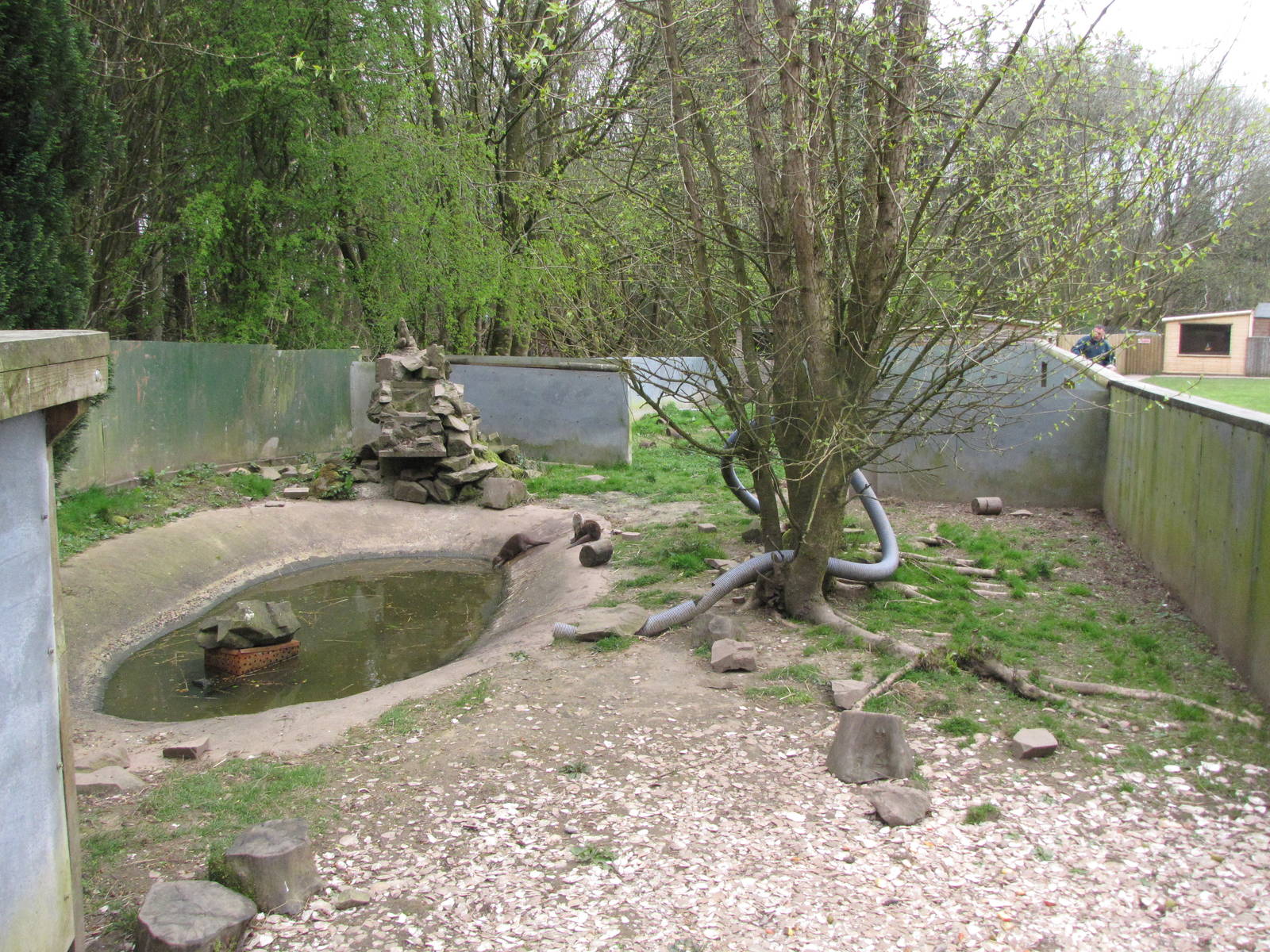 Otter enclosure at Galloway Wildlife Conservation Park