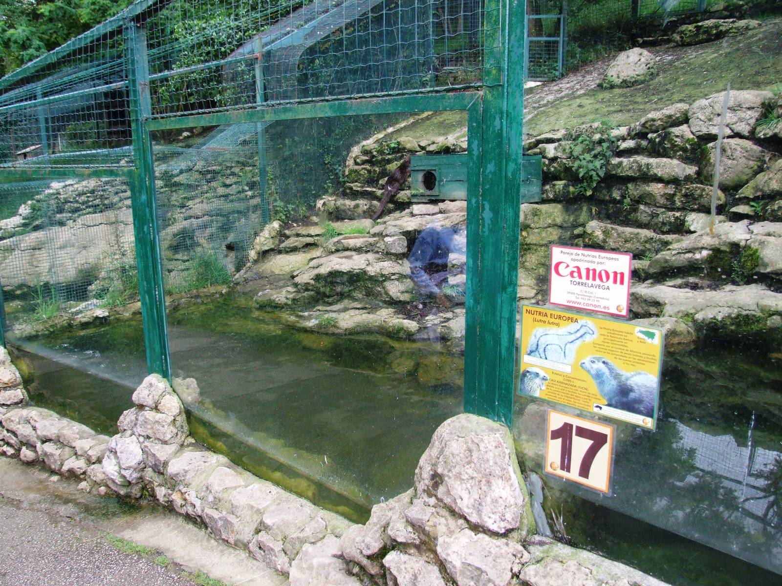 Otter Enclosure at Santillana del Mar, 13/06/15