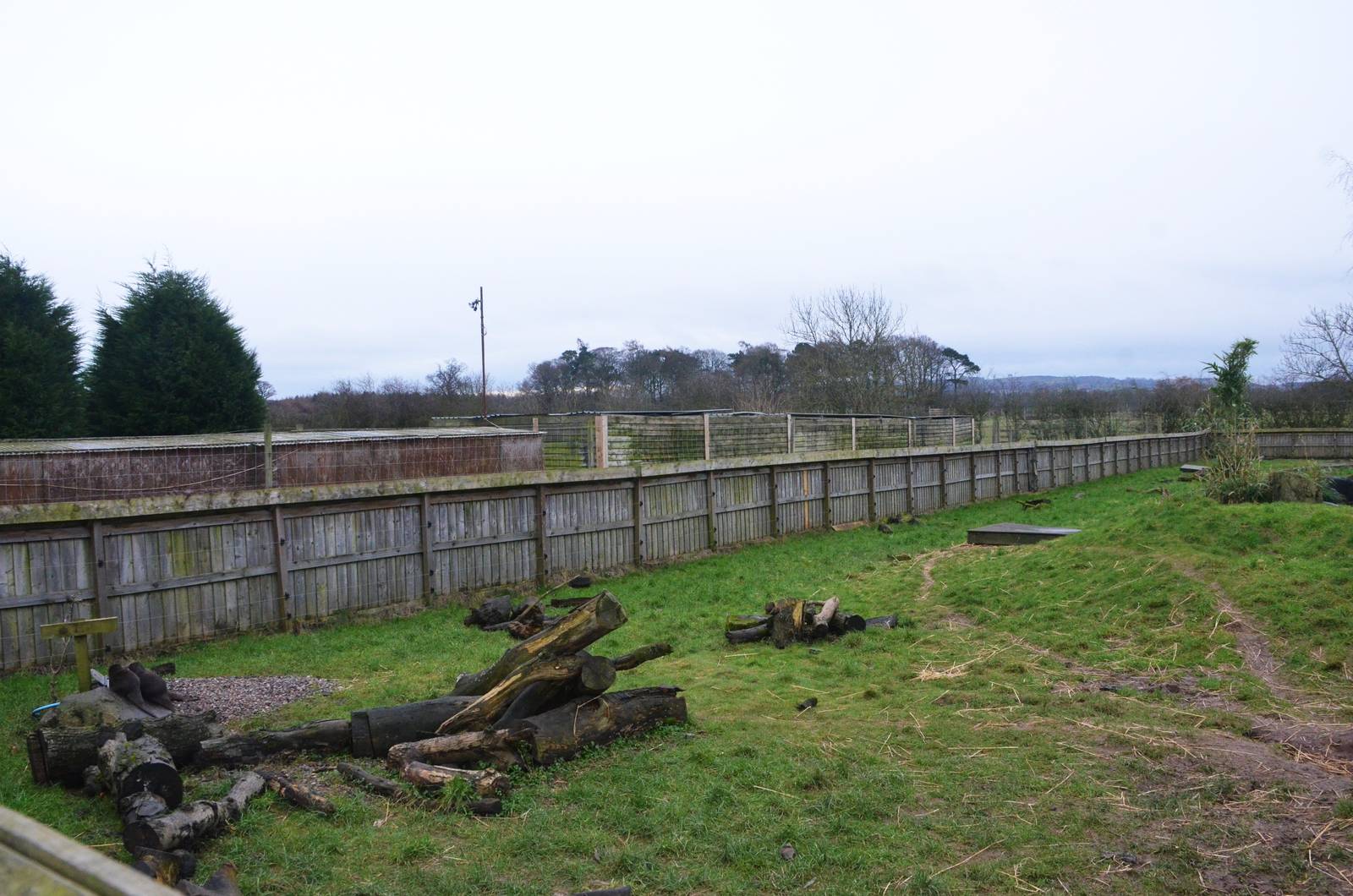 Otter Enclosure at the Scottish Deer Centre, 06/02/16