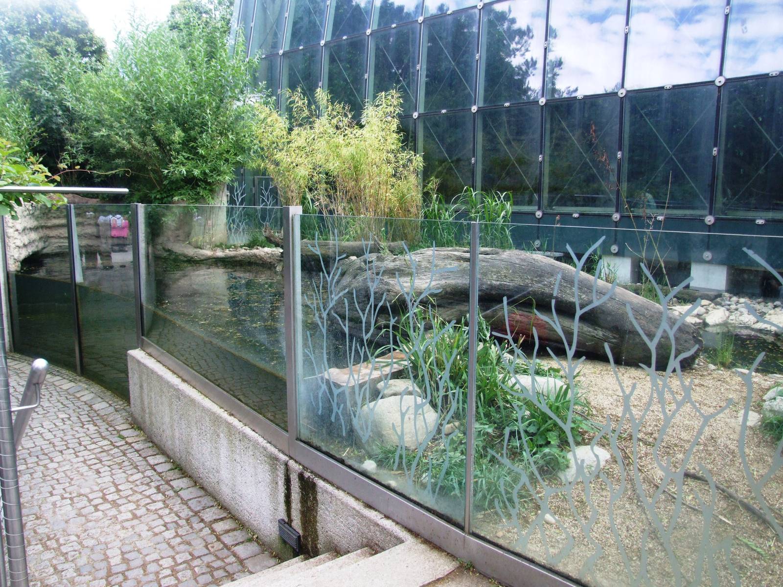 Otter Enclosure at Vienna, 14/06/13