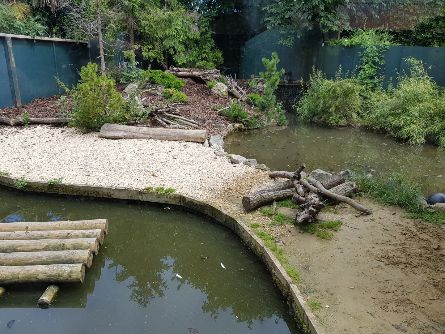Otter Enclosure - Bristol Zoo, July 2016.