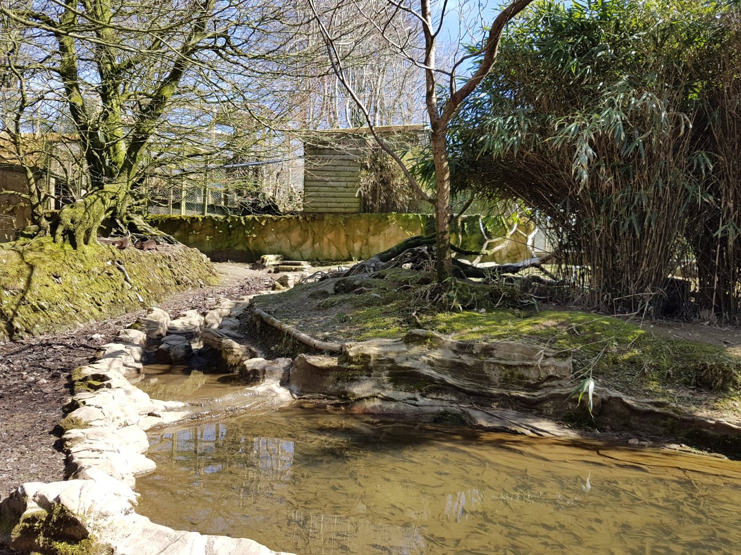 Otter Enclosure - Exmoor Zoo, 2016.
