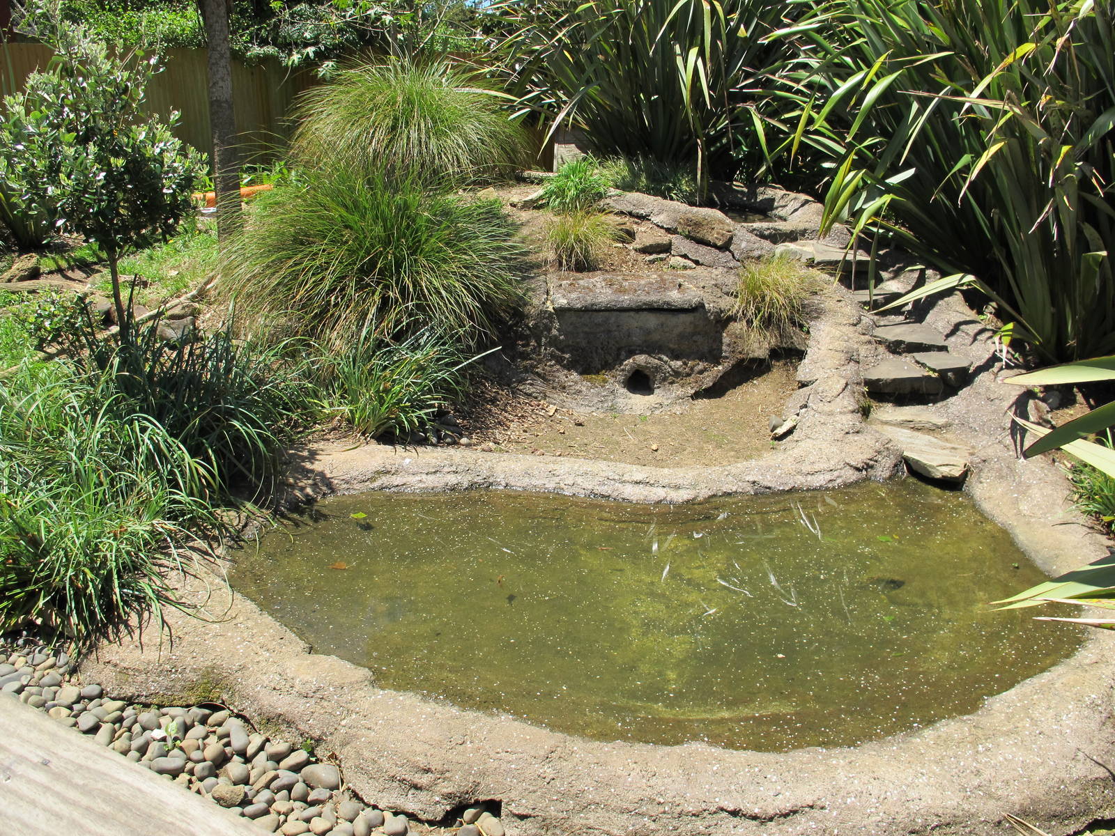 Otter Enclosure - Franklin Zoo
