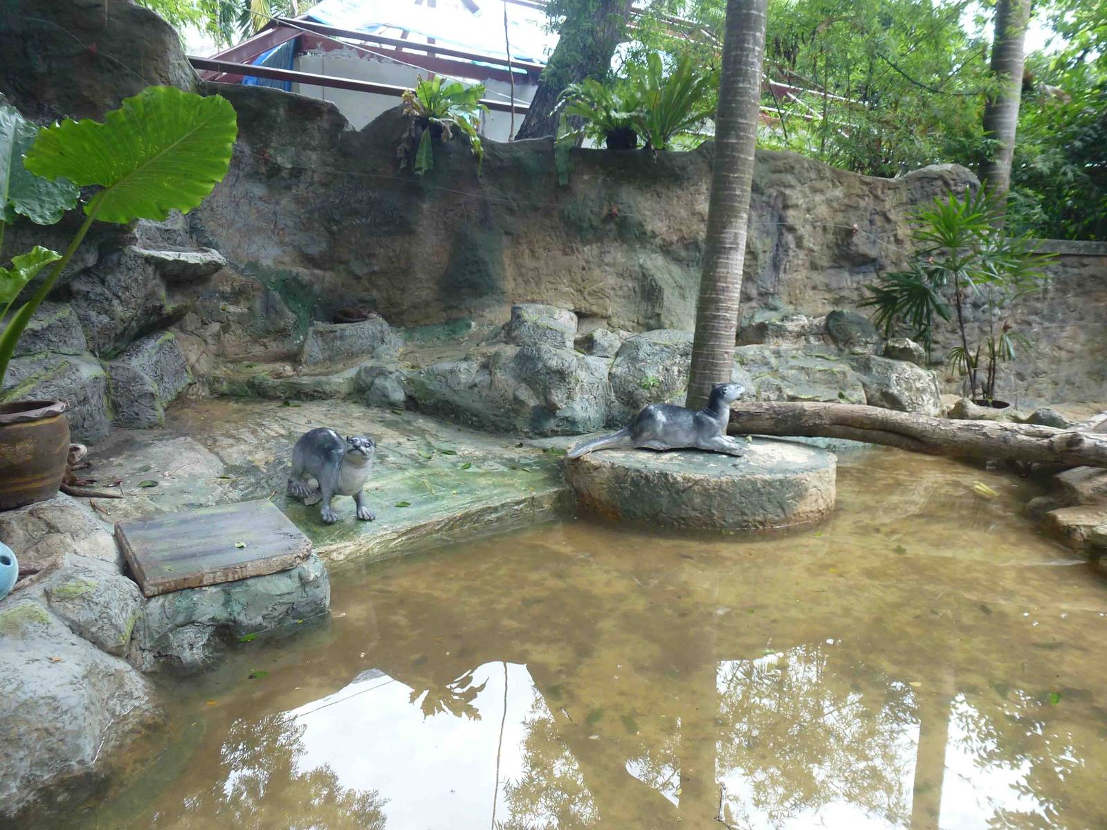 Otter enclosure, July 2013.