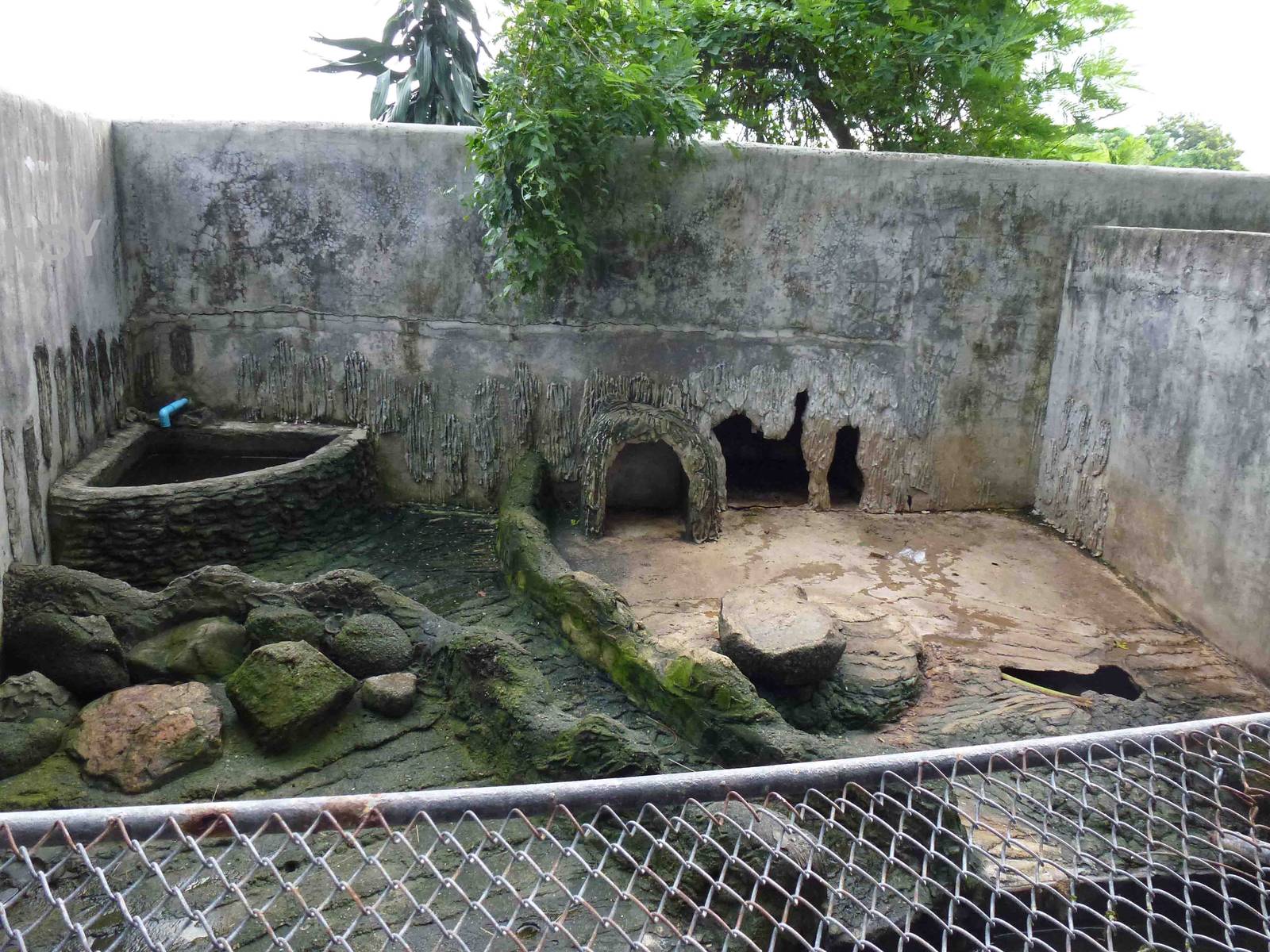 Otter enclosure, June 2013.