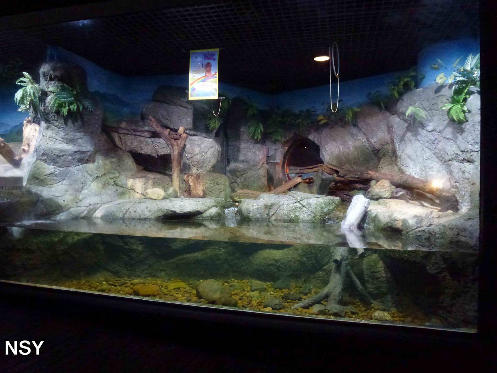 Otter enclosure, June 2013.