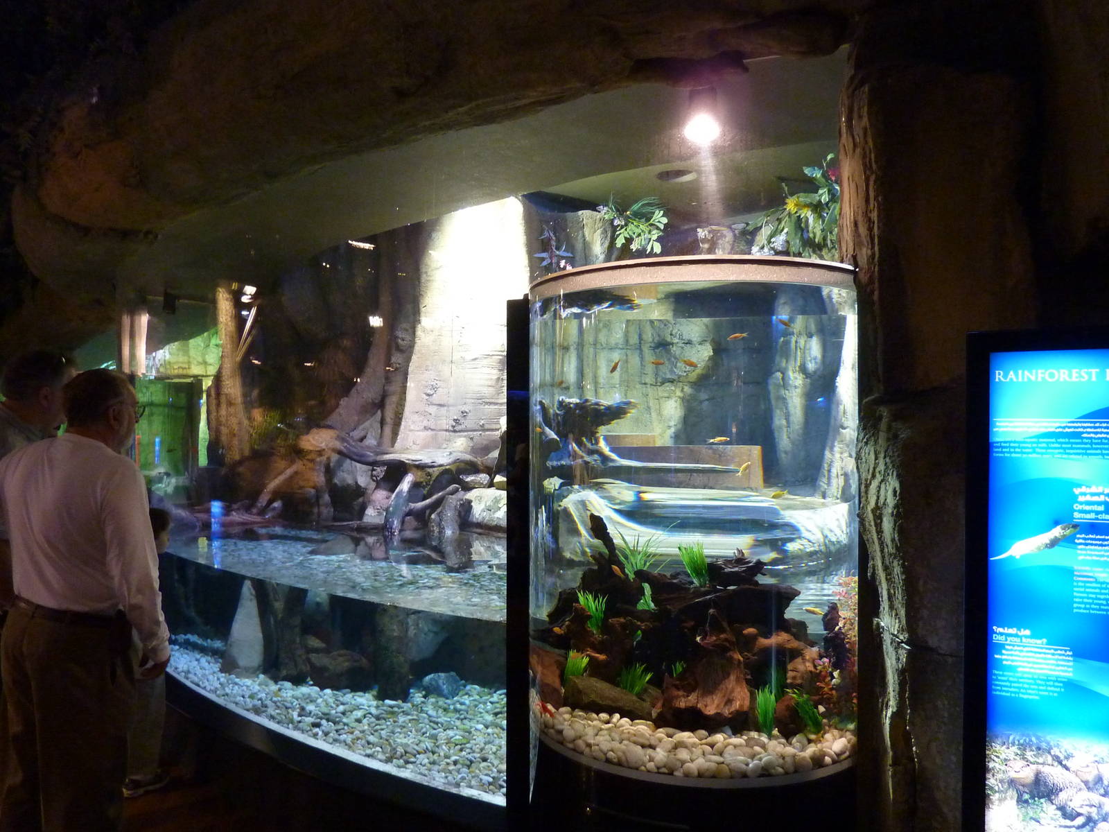 Otter enclosure