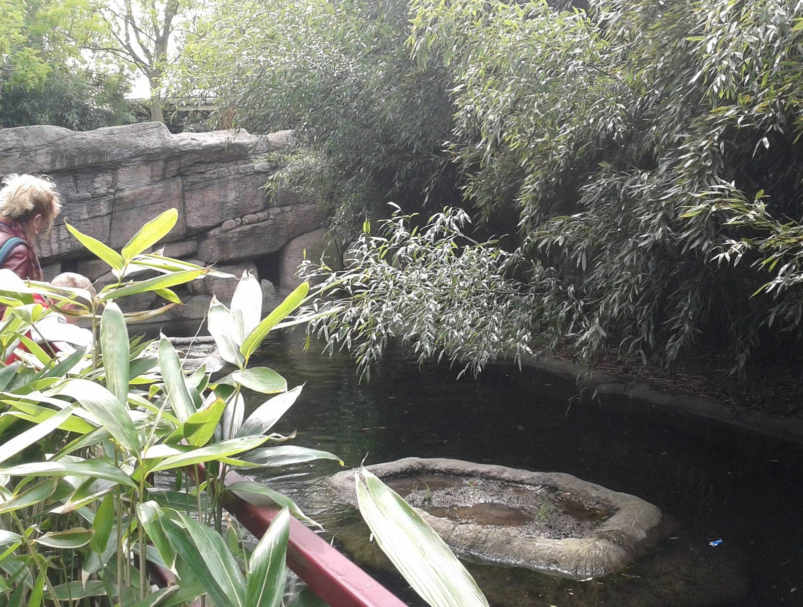 Otter enclosure