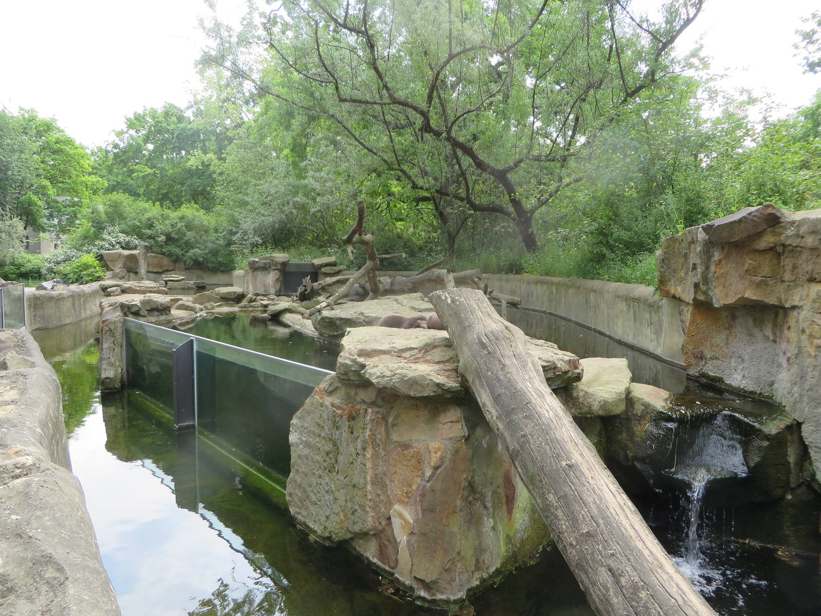 Otter enclosure
