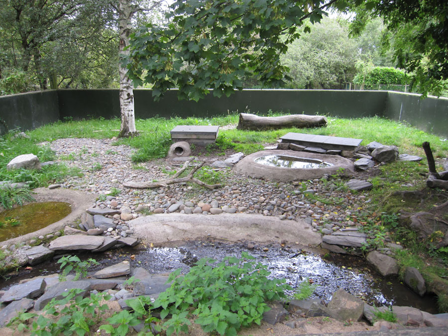 Otter enclosure
