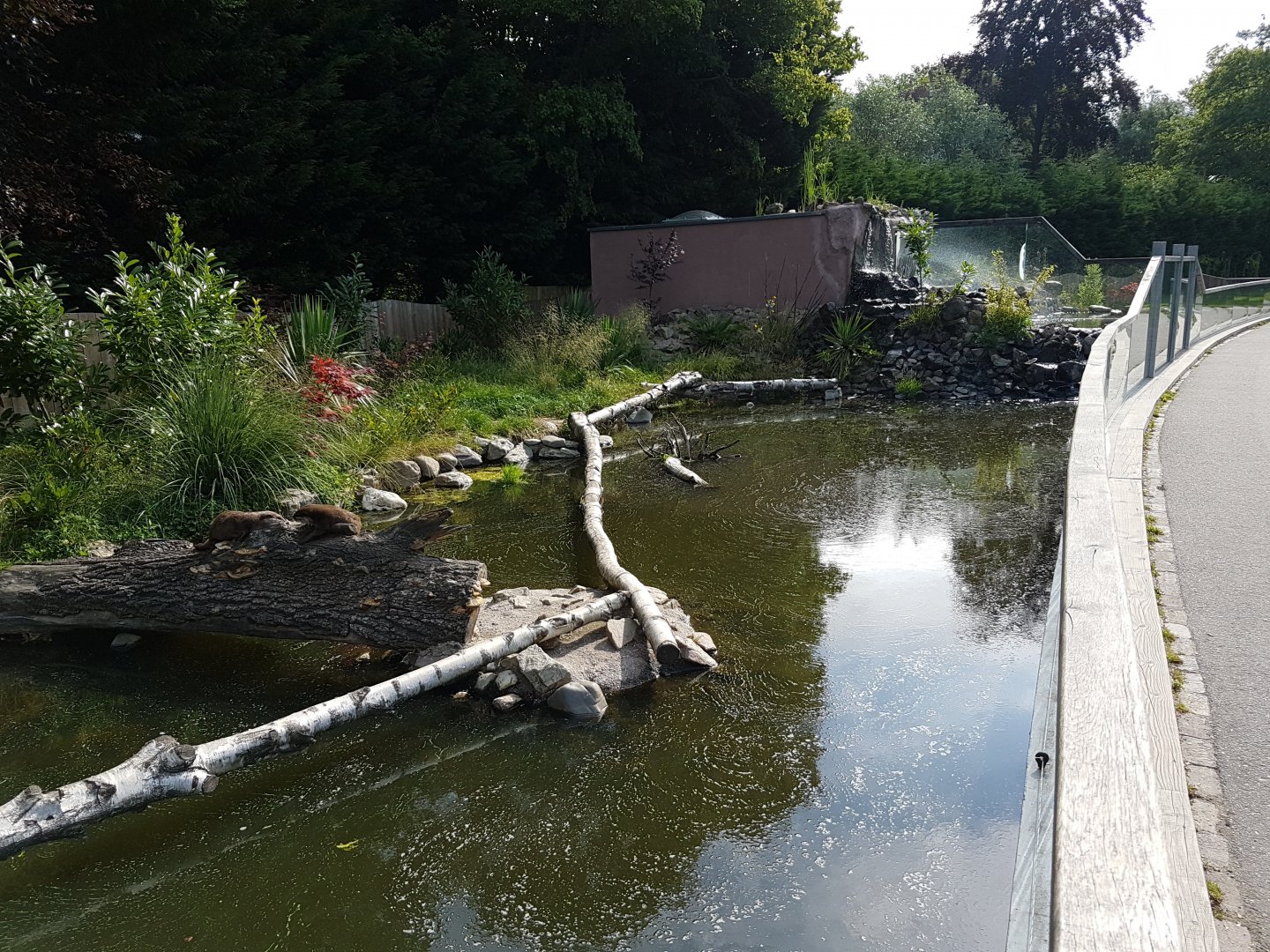 Otter-enclosure