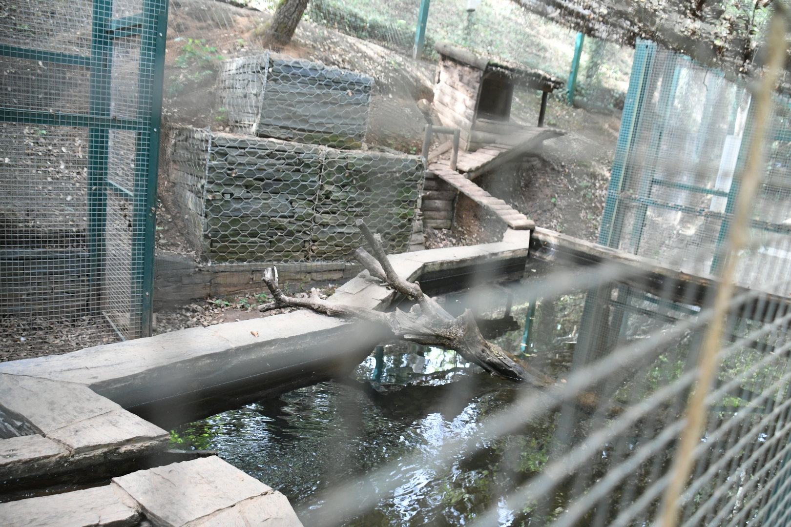 Otter enclosure