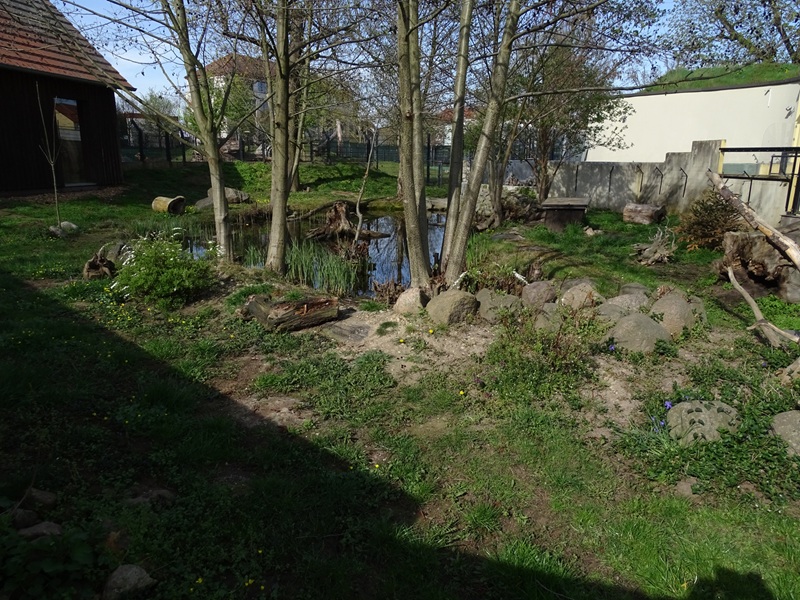 Otter enclosure