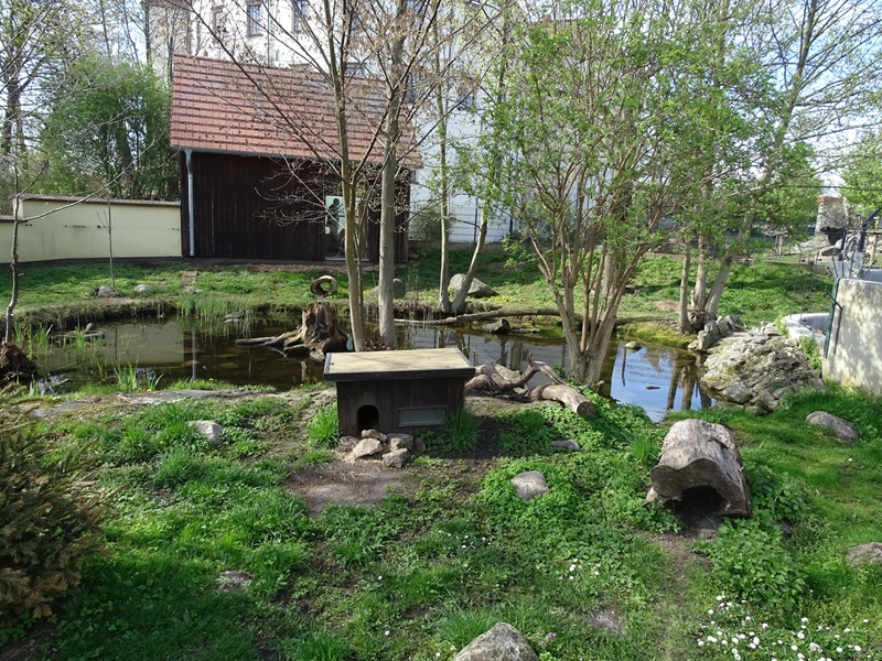 Otter enclosure