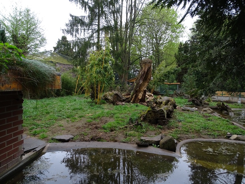 Otter enclosure