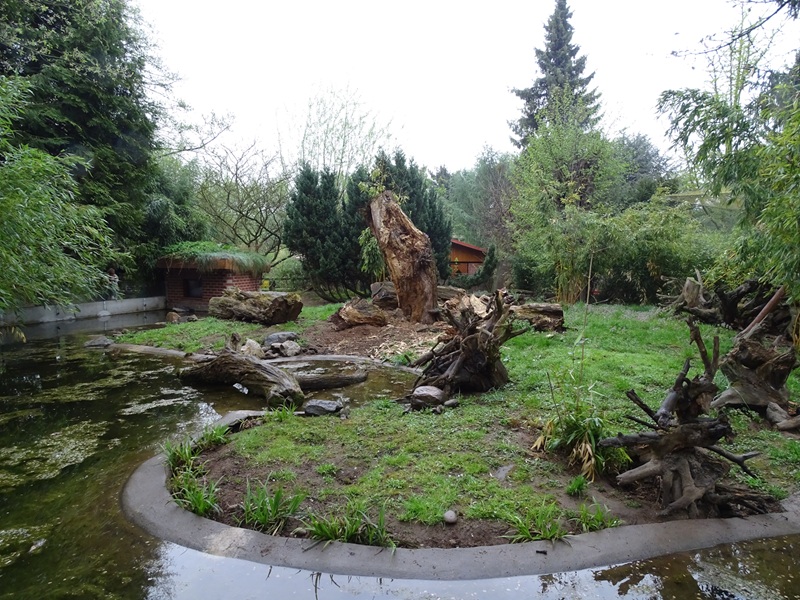 Otter enclosure