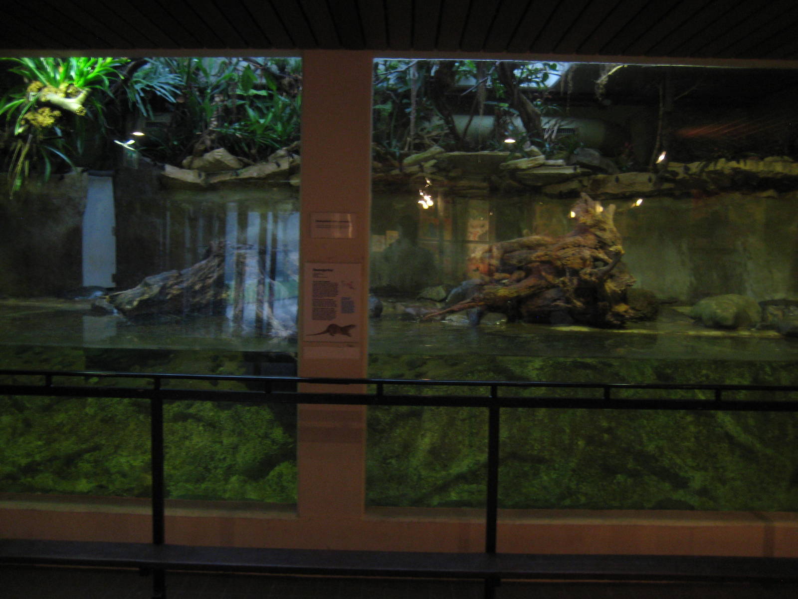 Otter enclosure