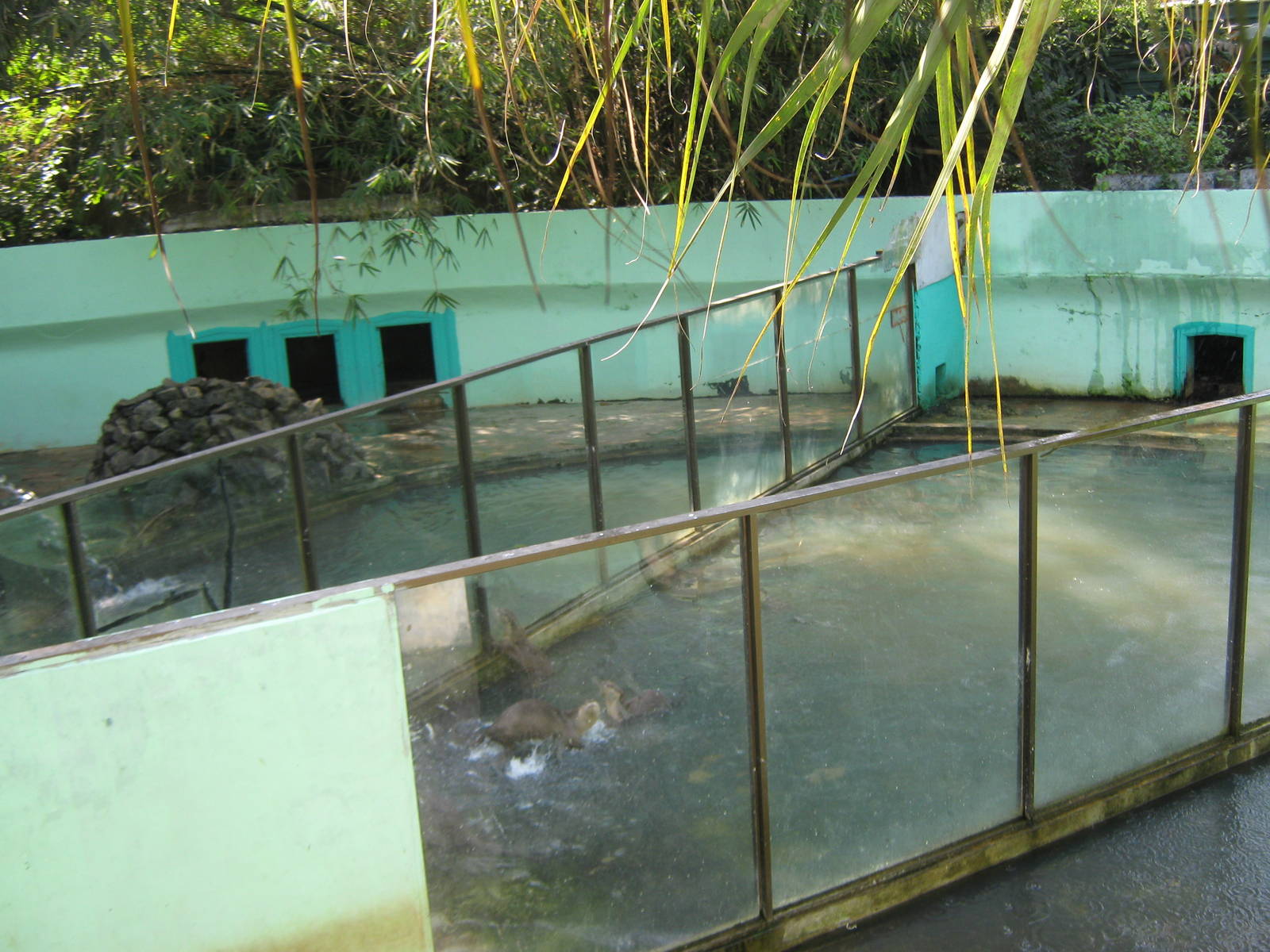 otter enclosures