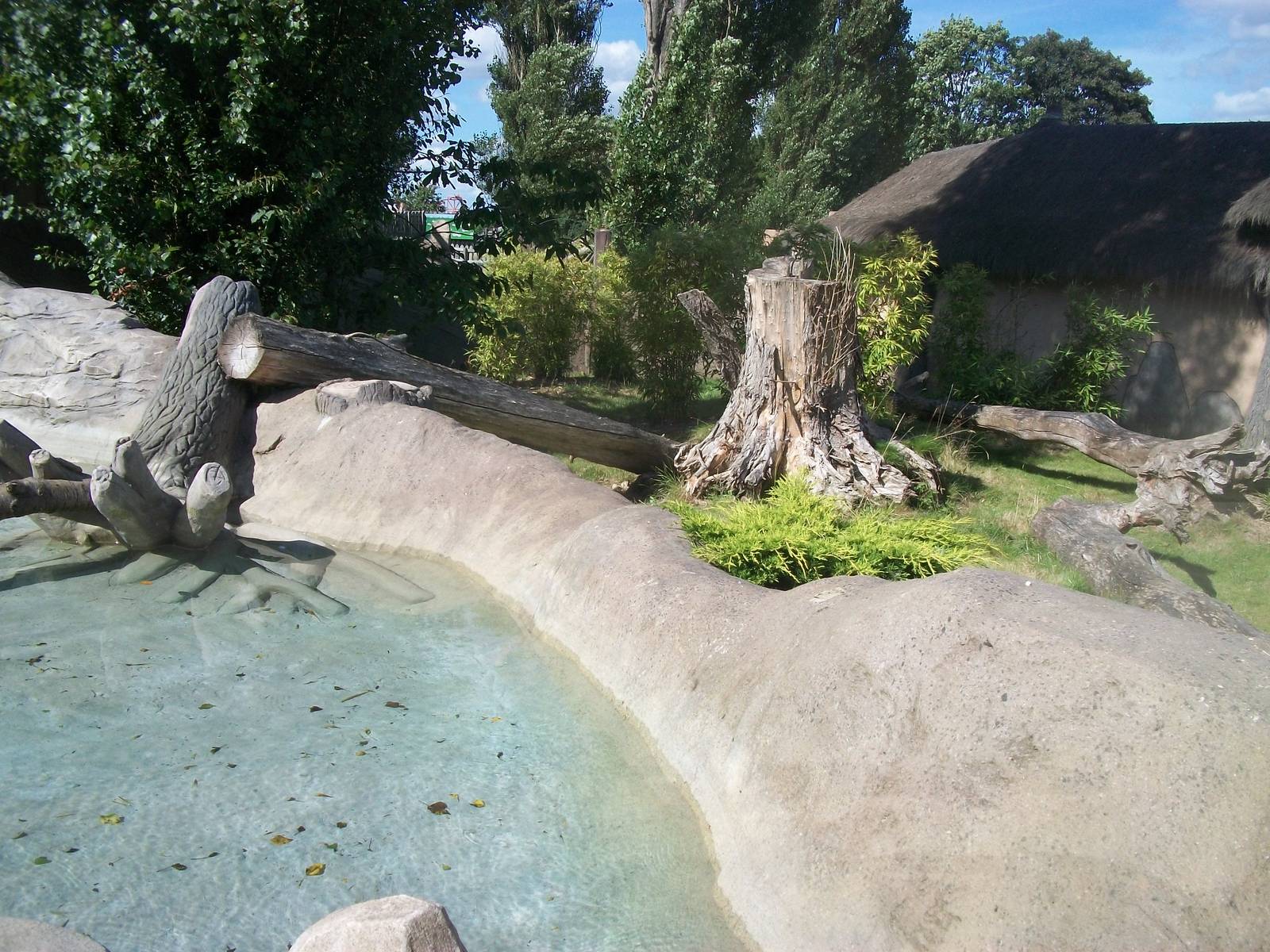 Otter exhibit, 4th August 2014