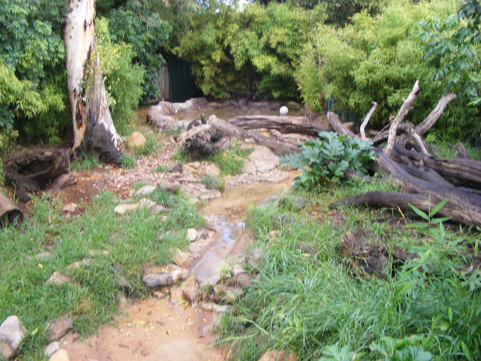 Otter Exhibit - April, 2010