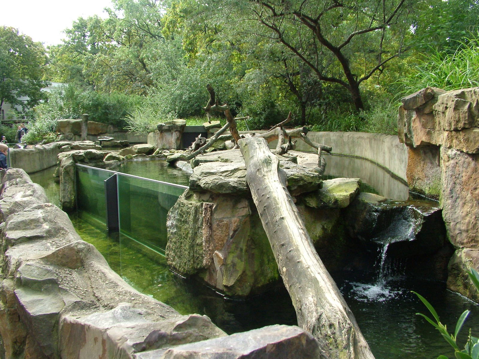 Otter Exhibit at Berlin Zoo, 31/08/11