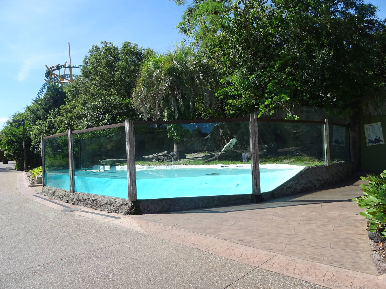 Otter Exhibit at Busch Gardens Tampa