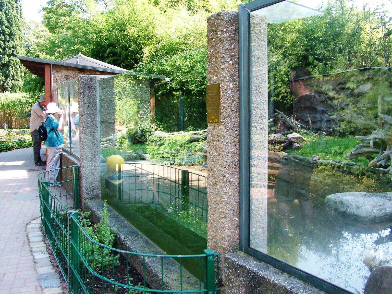 Otter Exhibit at Dresden, 29/08/12