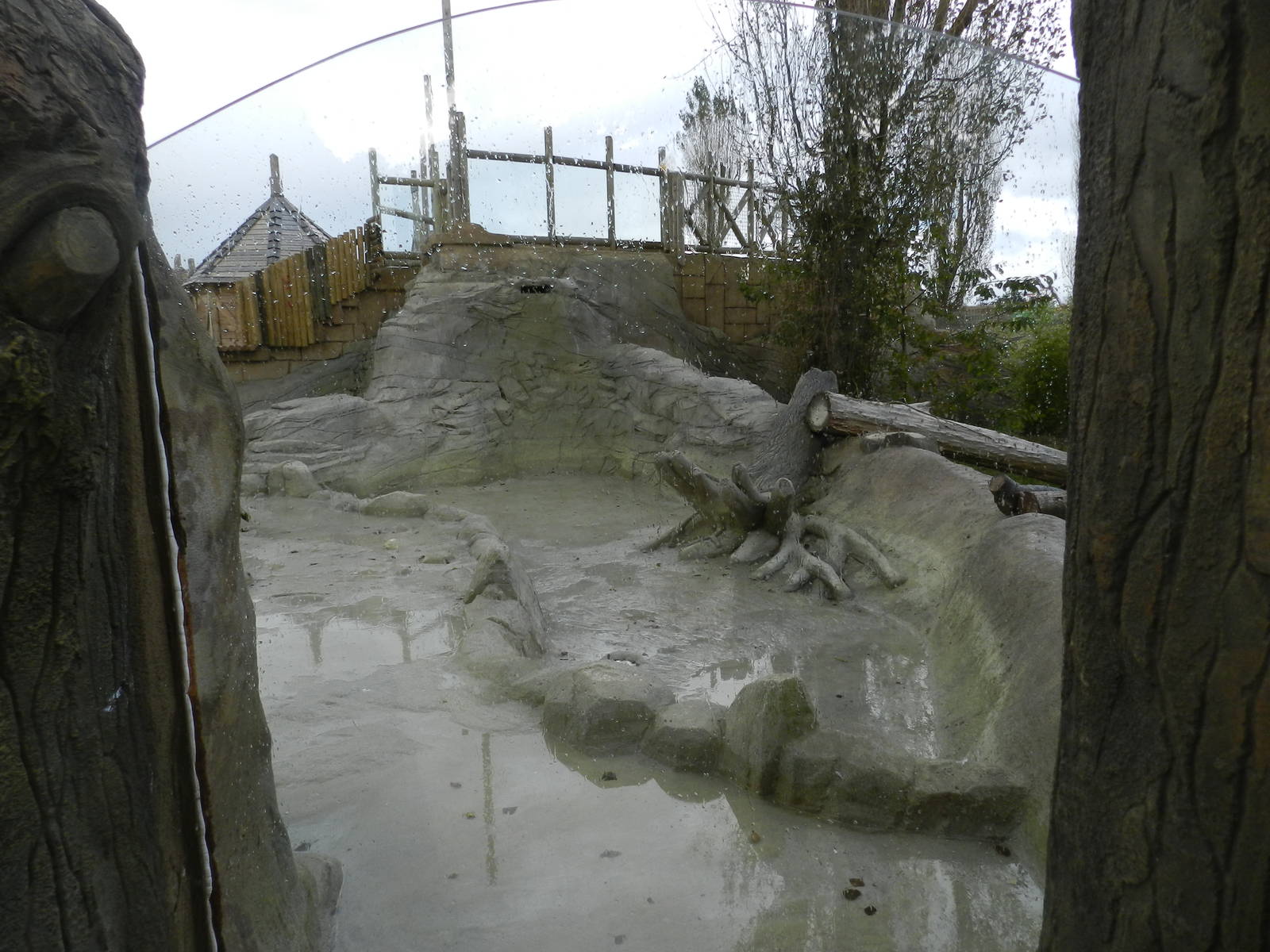 Otter Exhibit at Flamingo Land - 14/10/2012