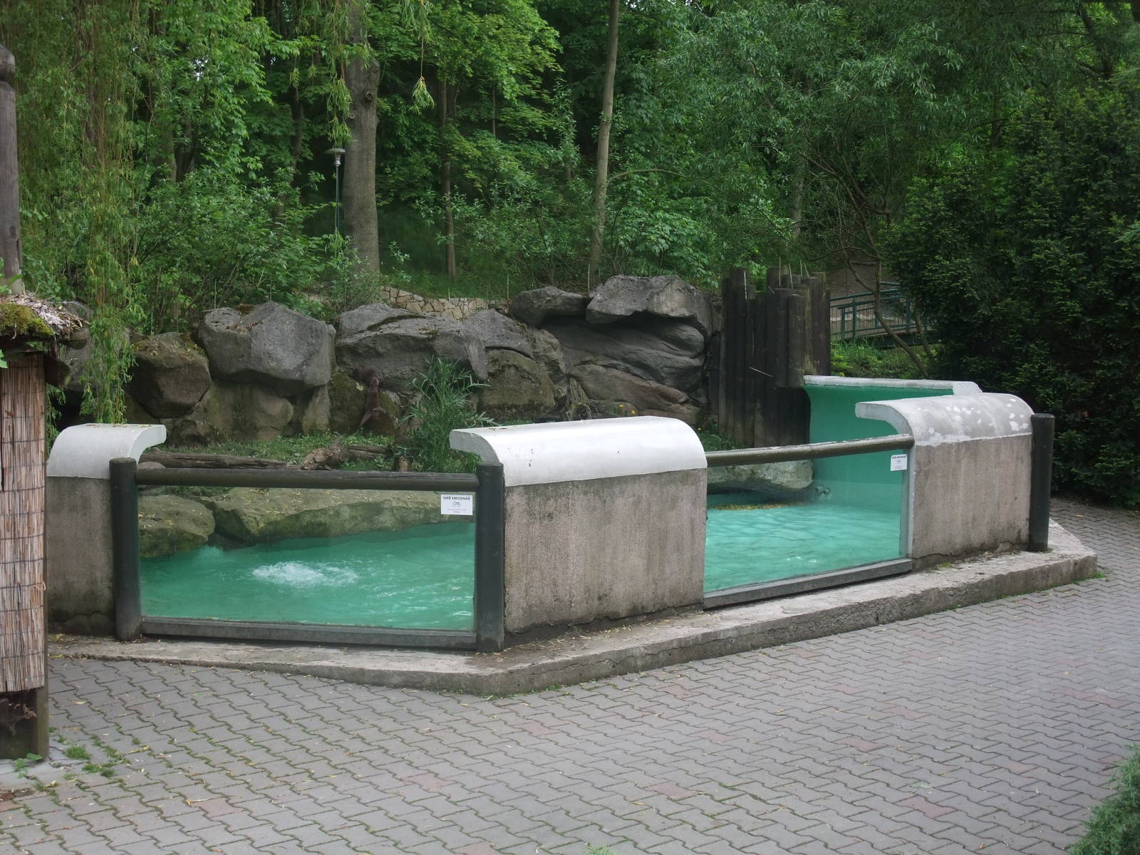 Otter exhibit at Jihlava, 30/05/10