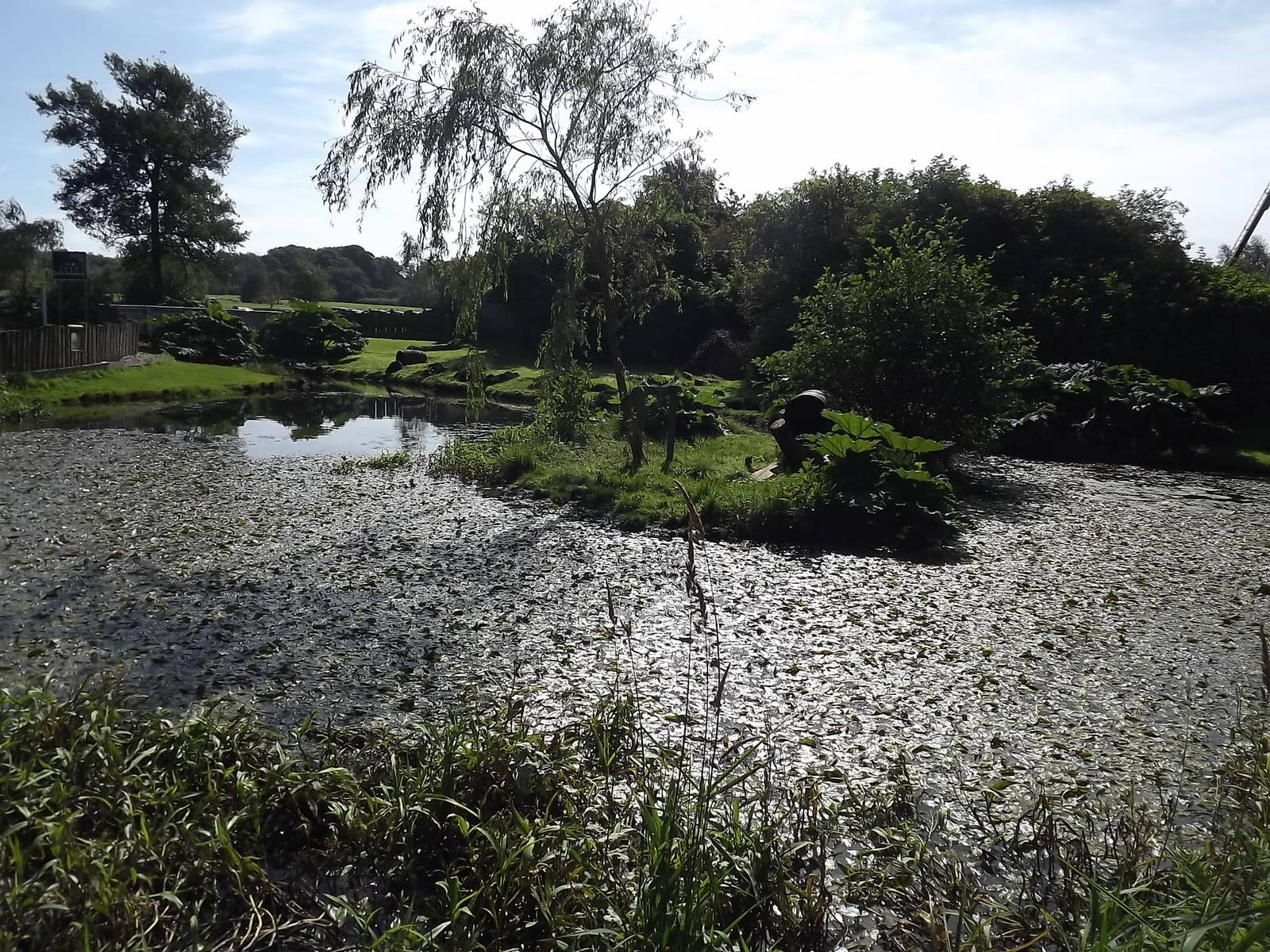 Otter exhibit at Knowsley Safari Park 08/09/12
