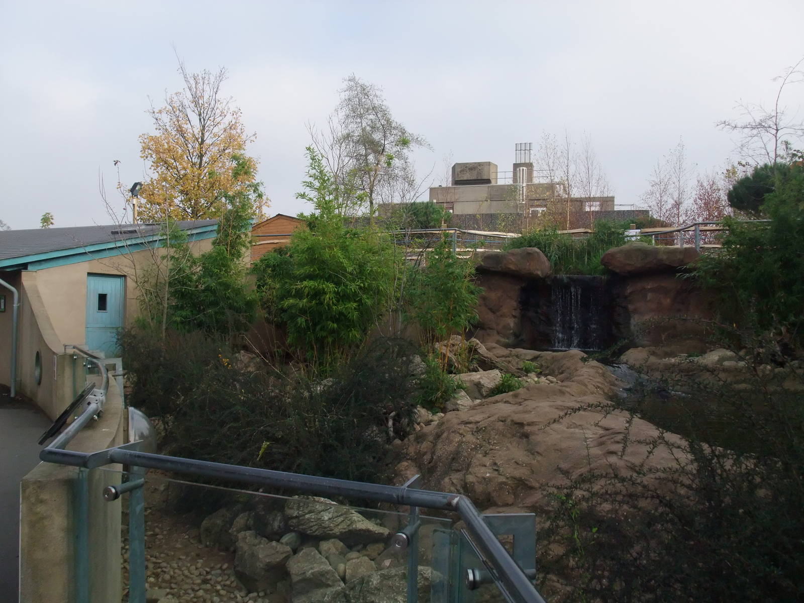 Otter Exhibit at London, 16/11/11