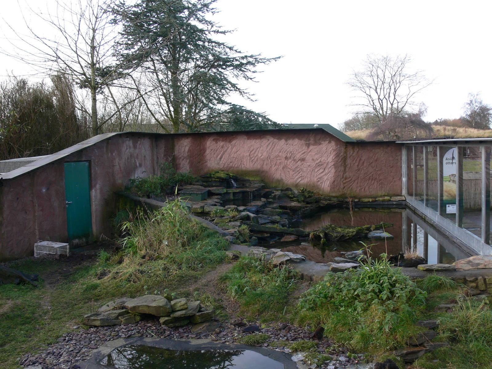 Otter exhibit at Martin Mere 08/12/12