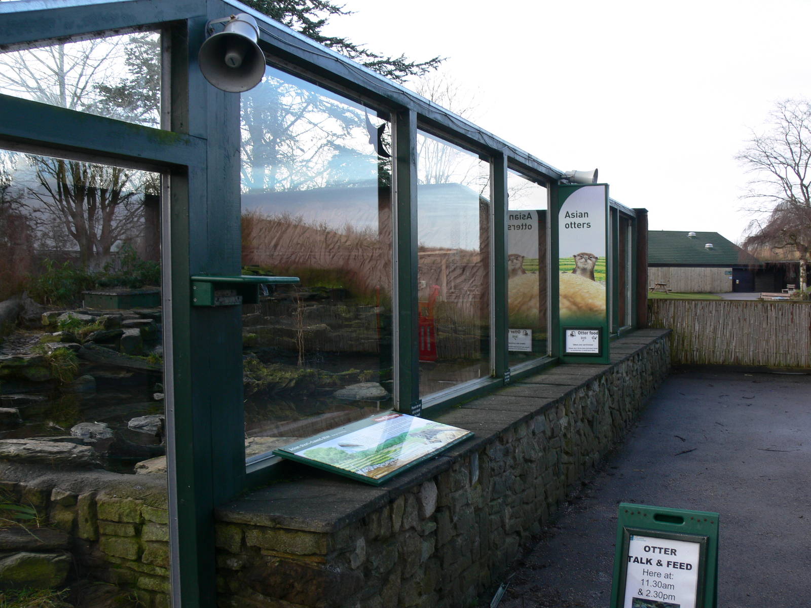 Otter exhibit at Martin Mere 08/12/12