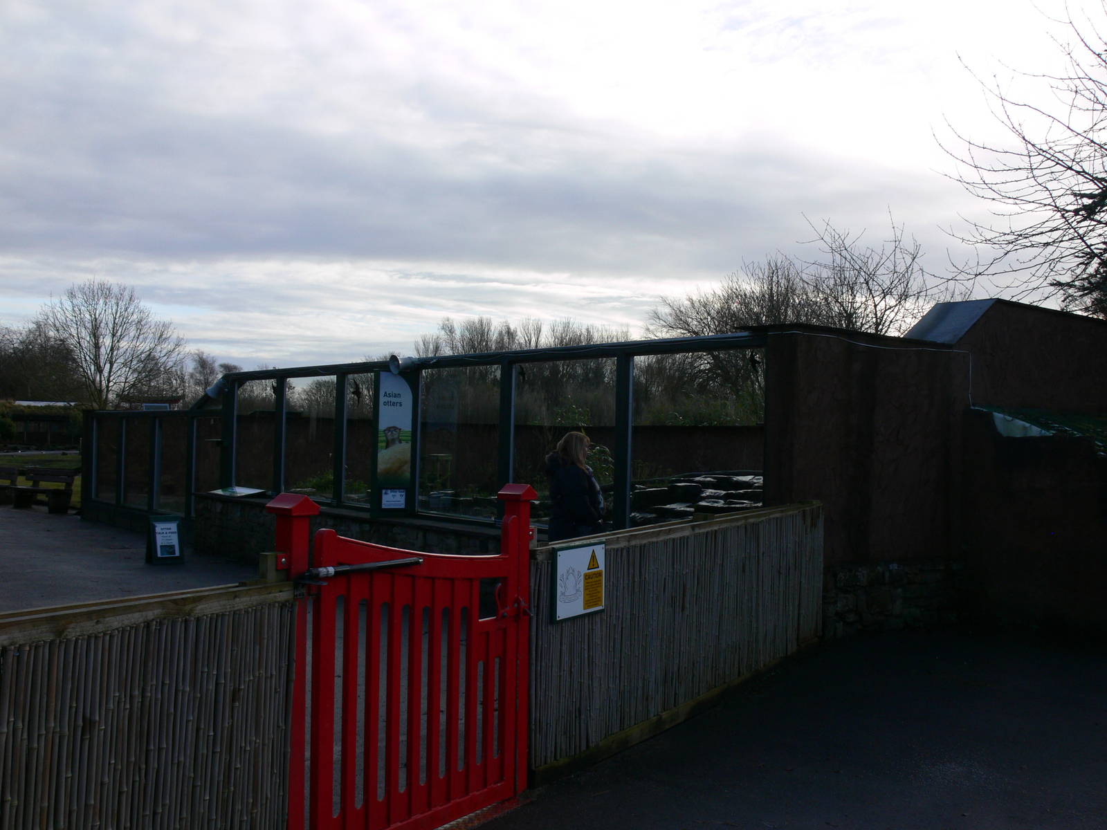 Otter exhibit at Martin Mere 08/12/12