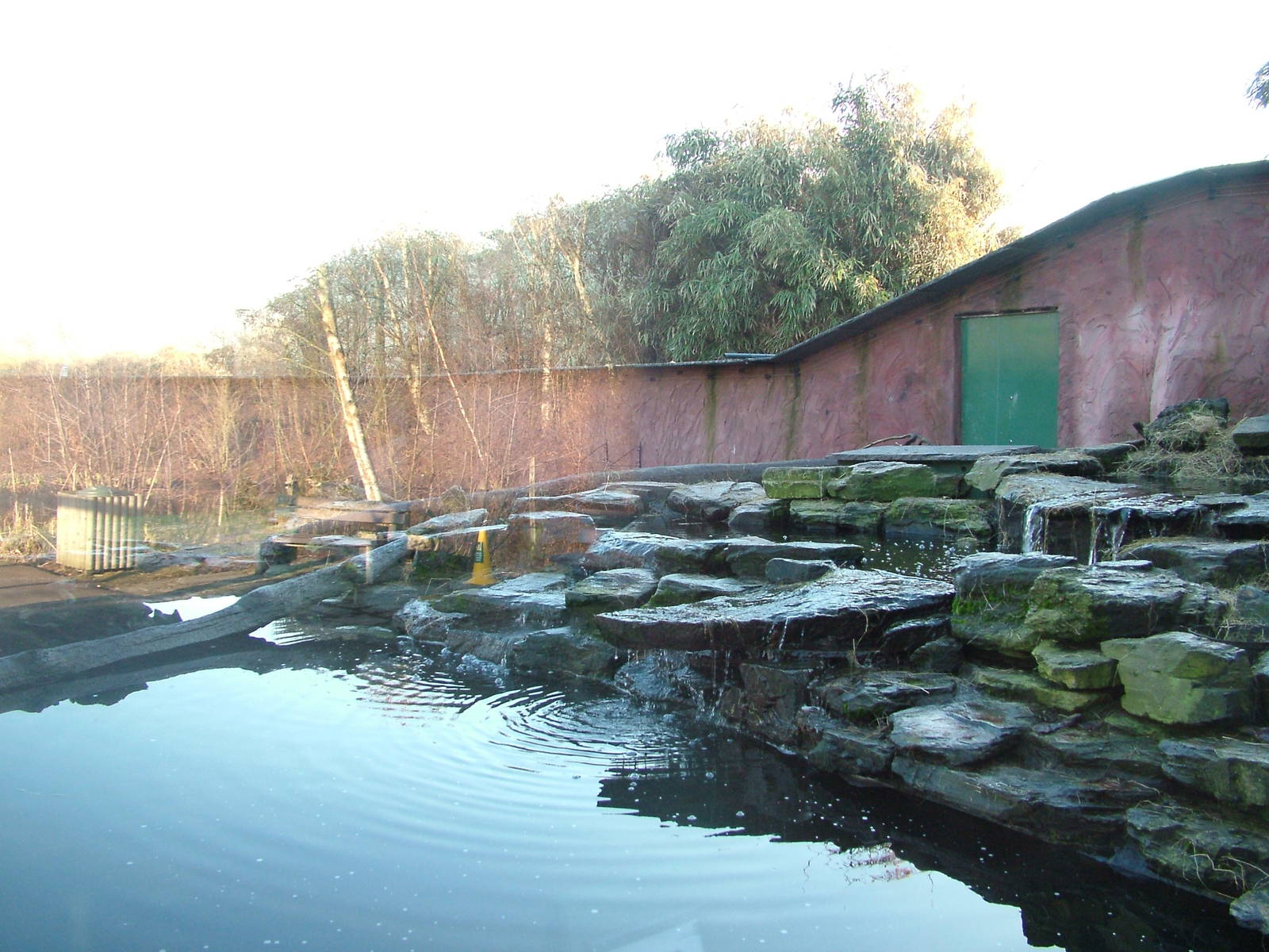 Otter Exhibit at Martin Mere, 28/01/11