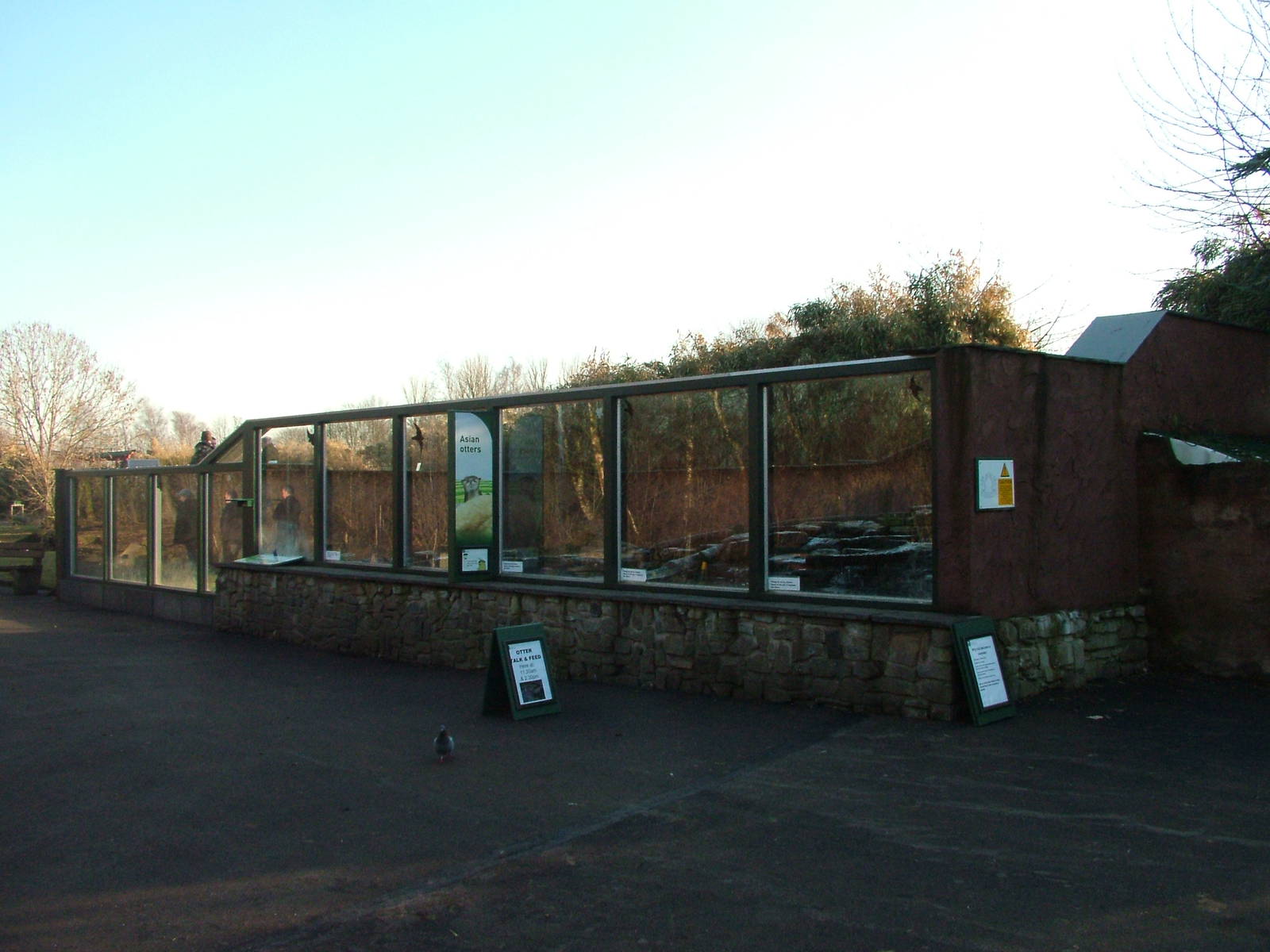 Otter Exhibit at Martin Mere, 28/01/11
