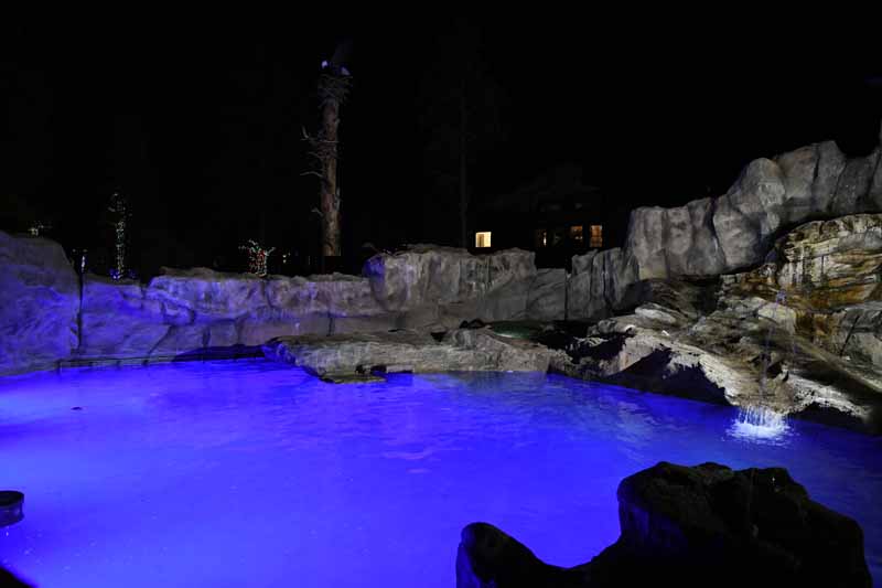 otter exhibit at night