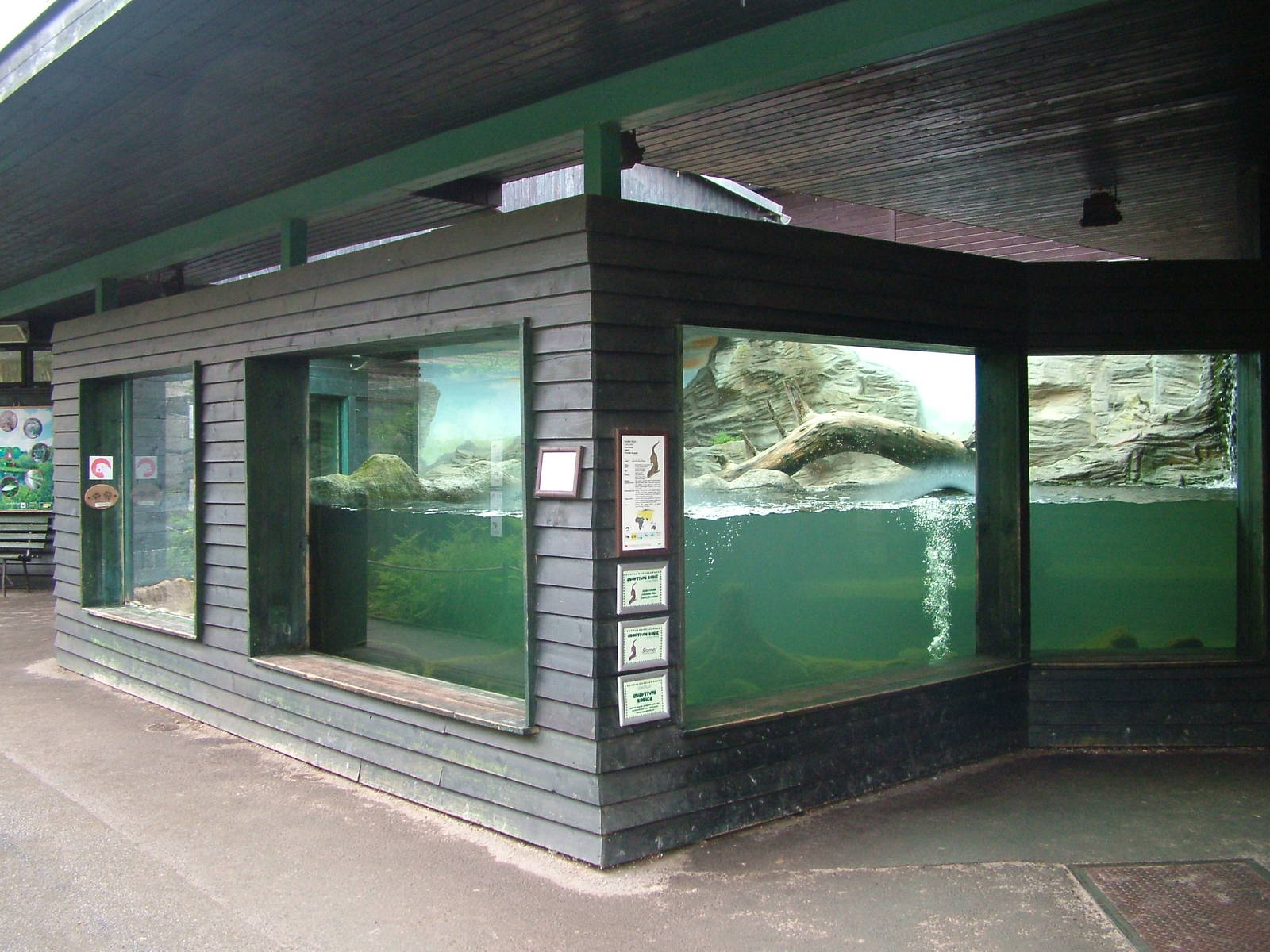 Otter exhibit at Ohrada, 26/05/10