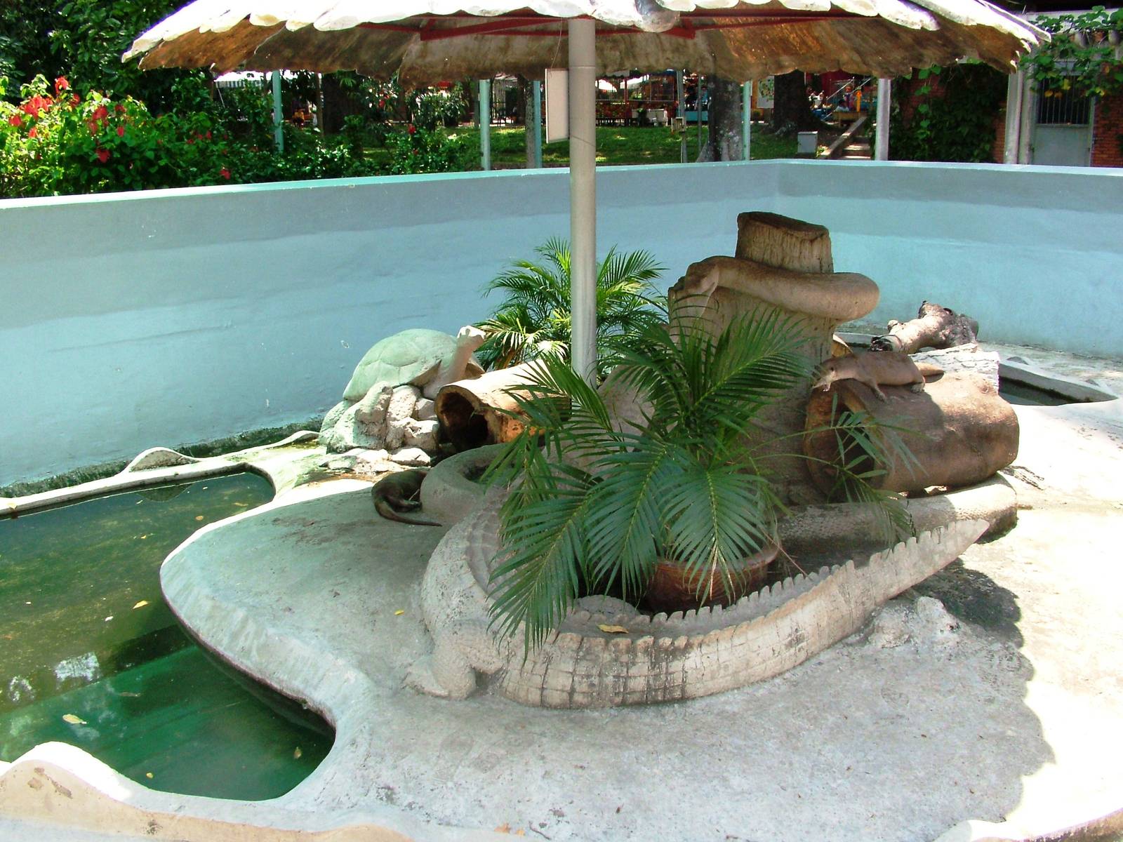 Otter Exhibit at Saigon Zoo, 16/03/12