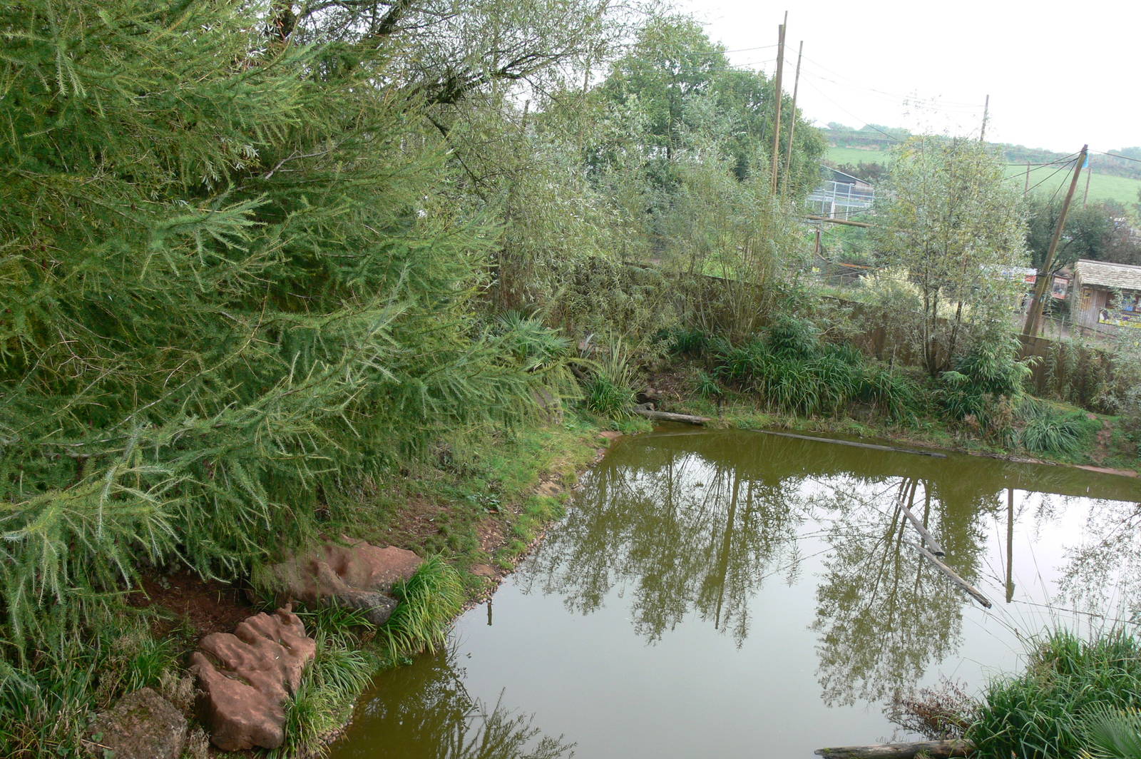 Otter Exhibit at South Lakes, 11/10/14