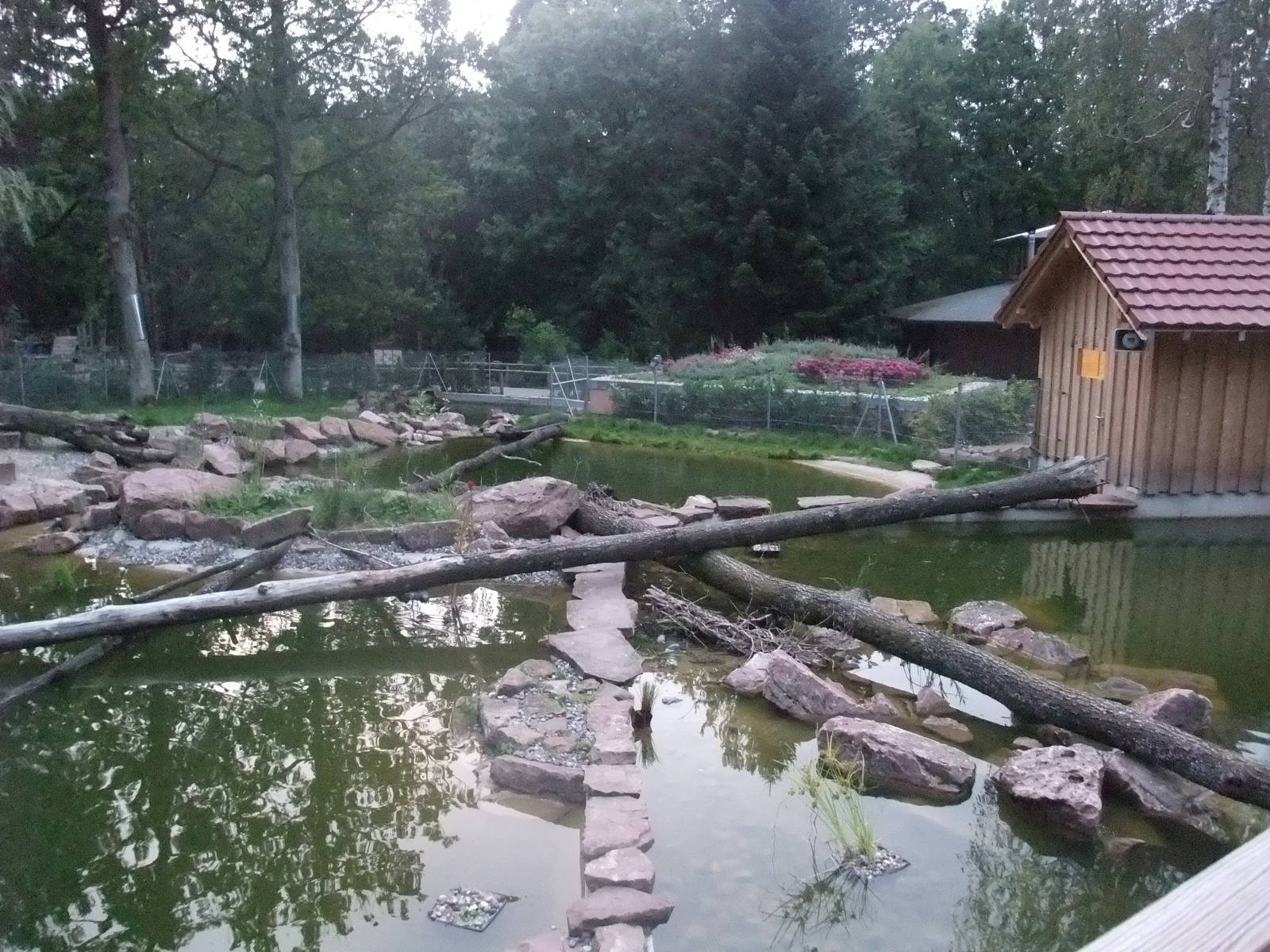 Otter Exhibit at Wildpark Pforzheim, 02/09/10