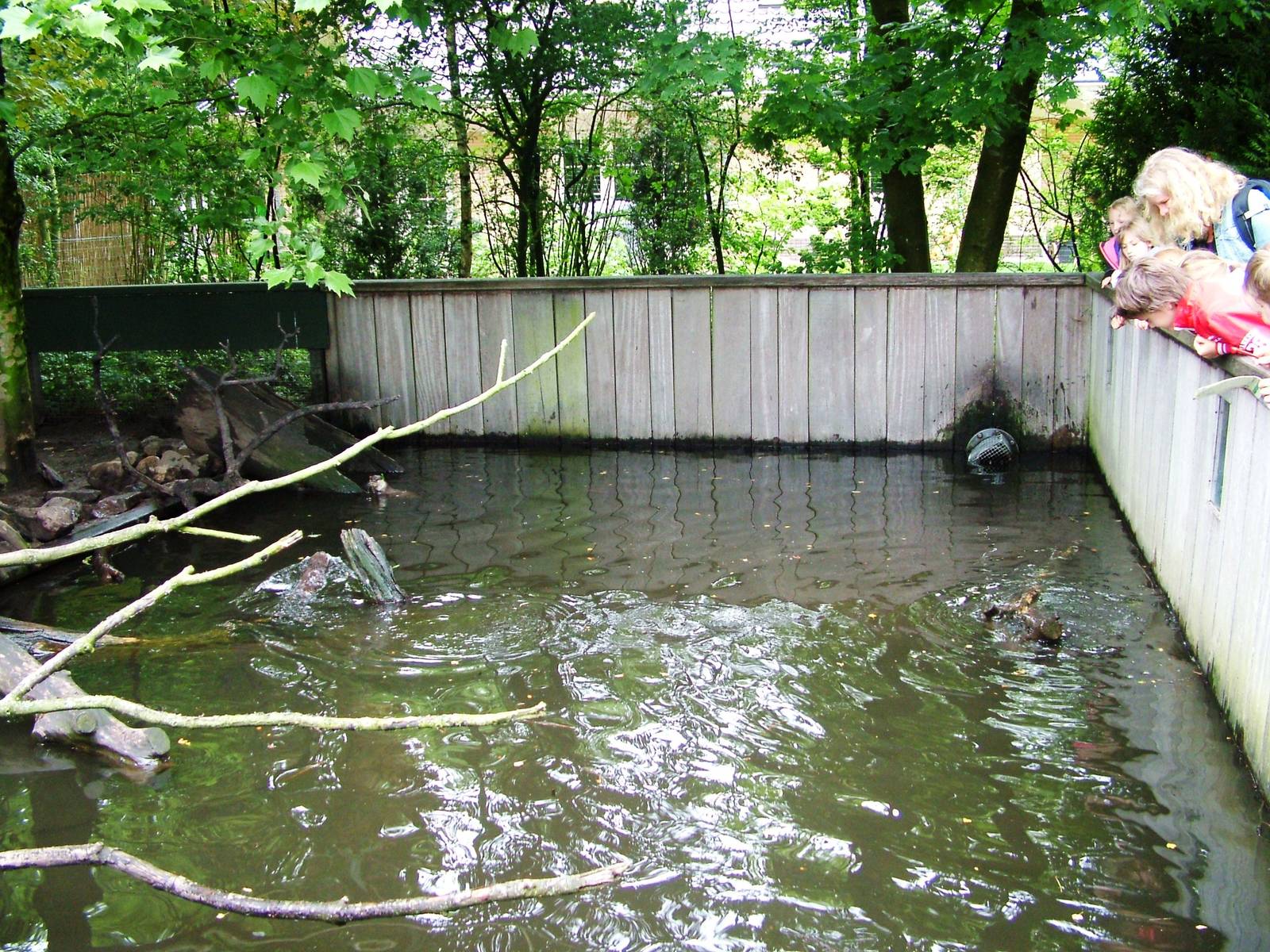 Otter Exhibit at Wissel Zoo, Epe, 01/06/12