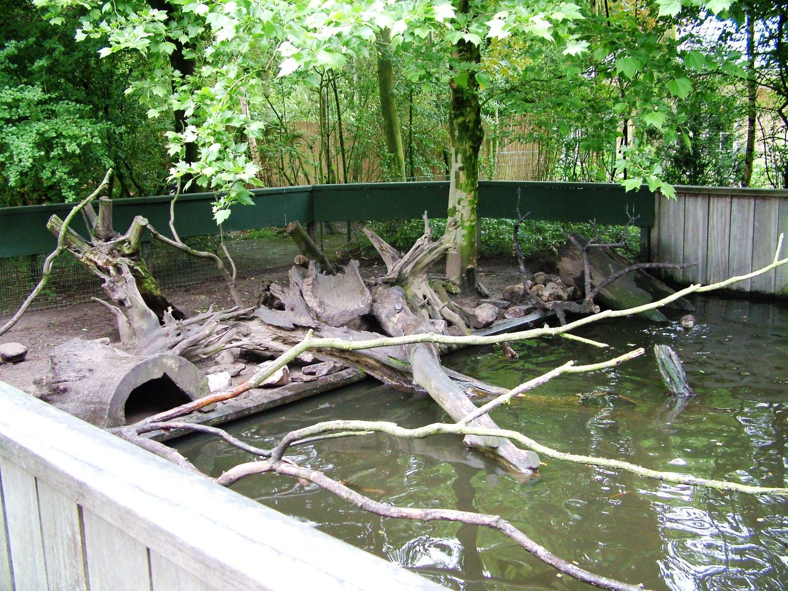 Otter Exhibit at Wissel Zoo, Epe, 01/06/12